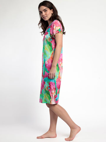 admas Kleid in Bunt
