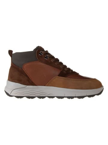 Geox Leder-Boots "Spherica" in Braun/ Grau