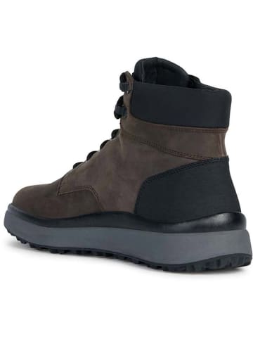 Geox Skórzane botki "Granito + Grip" w kolorze brązowym