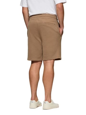 Polo Club Sweatbermudas in Camel