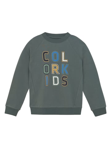 Color Kids Sweatshirt in Grau