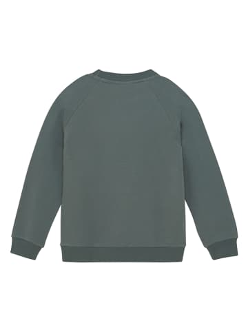 Color Kids Sweatshirt grijs