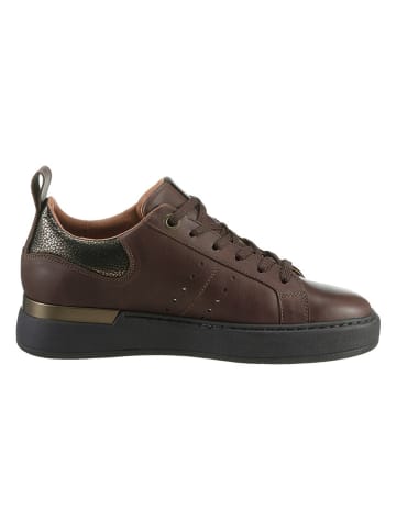 Heine Leder-Sneakers in Dunkelbraun