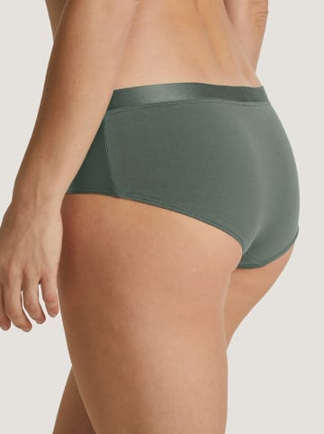 Calida Panty in Dunkelgrün