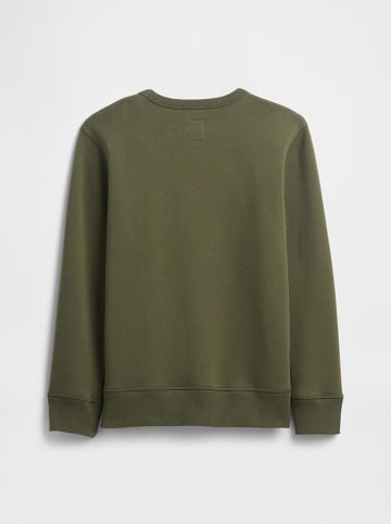GAP Sweatshirt in Khaki
