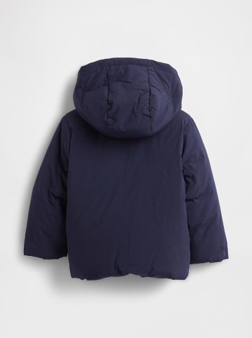GAP Winterjacke in Dunkelblau
