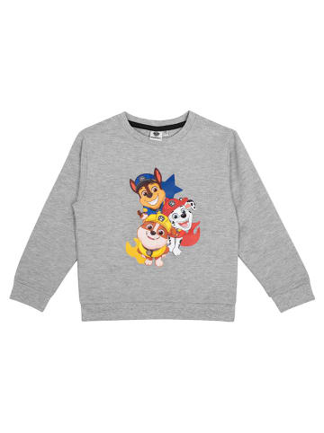 Paw Patrol Sweatshirt in Grau
