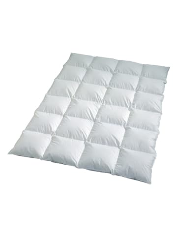 Häussling Bettwaren Winter-donsdekbed wit