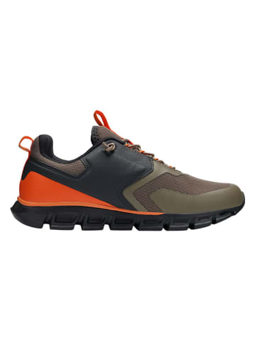 Jako Sneakers "Arcus" in Khaki/ Orange