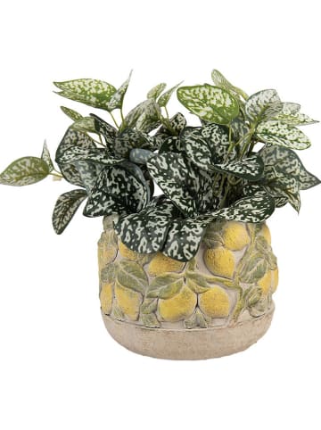 Clayre & Eef Blumentopf in Gelb/ Grün - (H)19 x  Ø 15 cm