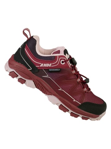 Ande Trekkingschuhe "Boe" in Bordeaux