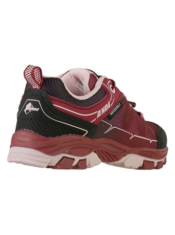 Ande Trekkingschuhe "Boe" in Bordeaux