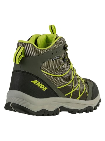 Ande Buty trekkingowe "Muggio" w kolorze zielonym