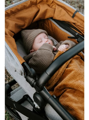 Baby's Only Muts bruin