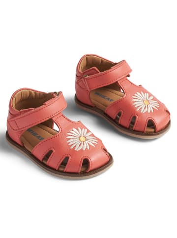 Wheat Leder-Halbsandalen in Rot