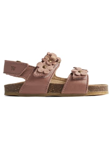 Wheat Leder-Sandalen in Rosa