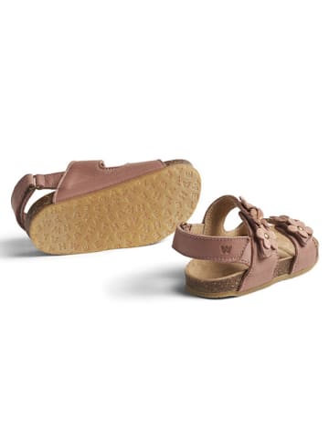 Wheat Leder-Sandalen in Rosa