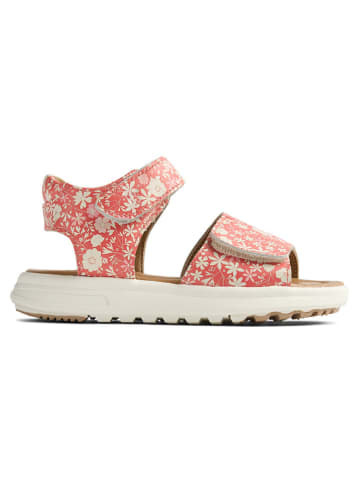 Wheat Leder-Sandalen in Rot