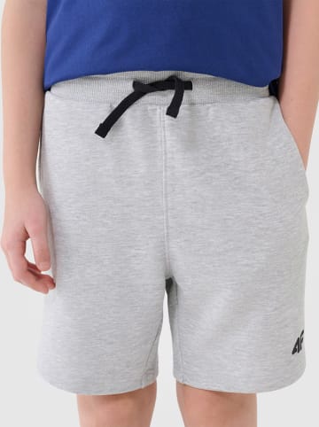 4F Short grijs