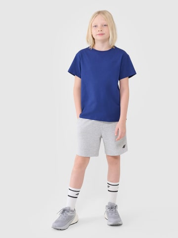 4F Short grijs