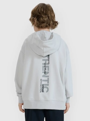 4F Hoodie in Grau