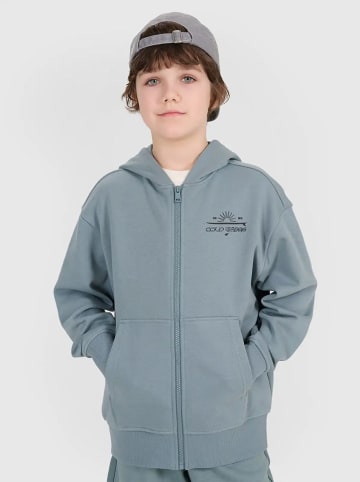 4F Sweatjacke in Grau