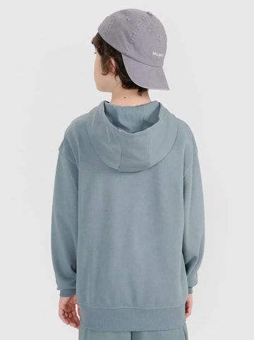 4F Sweatjacke in Grau