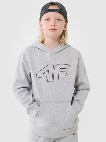4F Hoodie in Grau