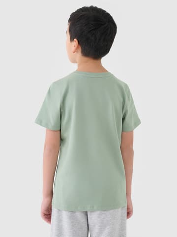 4F Shirt in Salbei