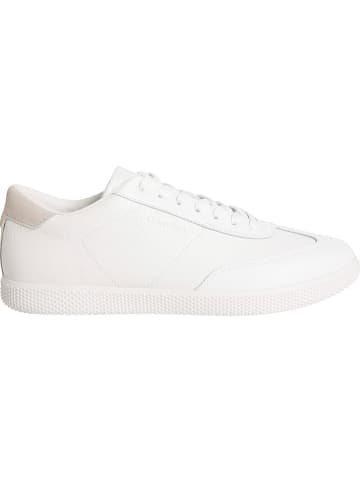 Calvin Klein Leder-Sneakers in Weiß