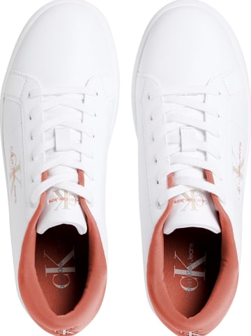 Calvin Klein Leder-Sneakers in Weiß/ Orange