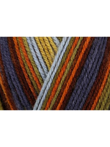 Schachenmayr since 1822 20er-Set: Kunstfasergarne ''Bravo Color'' in Bunt - 20x 50 g