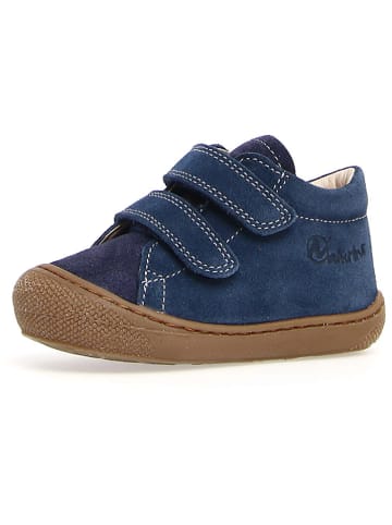 Naturino Leder-Lauflernschuhe "Cocoon" in in Dunkelblau