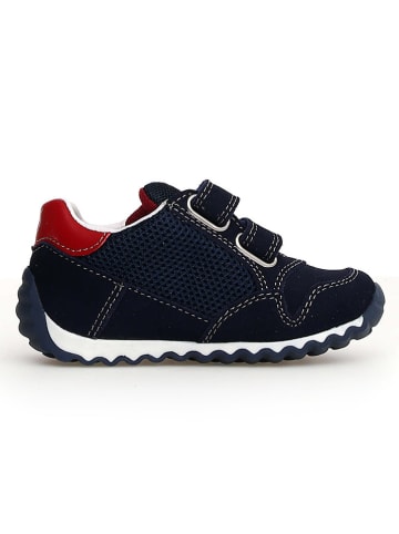 Naturino Leren sneakers "Sammy 2" zwart/donkerblauw/rood