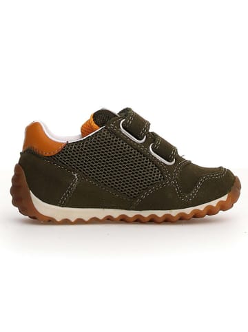 Naturino Leren sneakers "Sammy 2" bruin/oranje