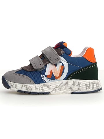 Naturino Leren sneakers "Jesko 2" blauw/grijs