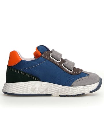 Naturino Leren sneakers "Jesko 2" blauw/grijs