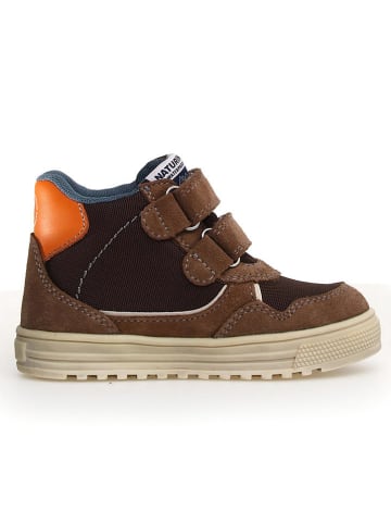 Naturino Leren sneakers "Hess 3" lichtbruin