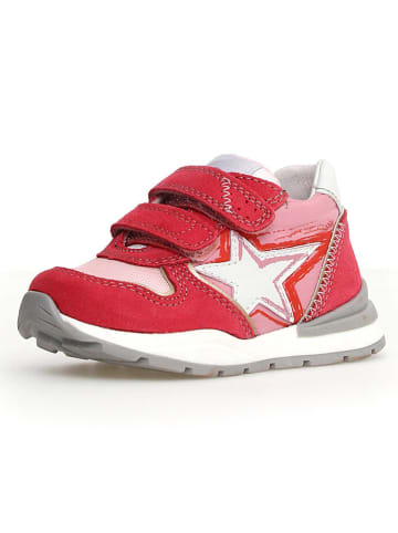 Naturino Leren sneakers "Roy" rood/lichtroze/wit