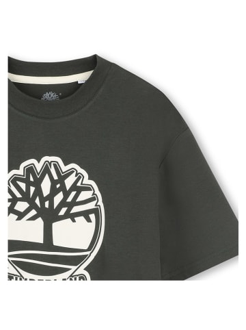 Timberland Shirt in Khaki