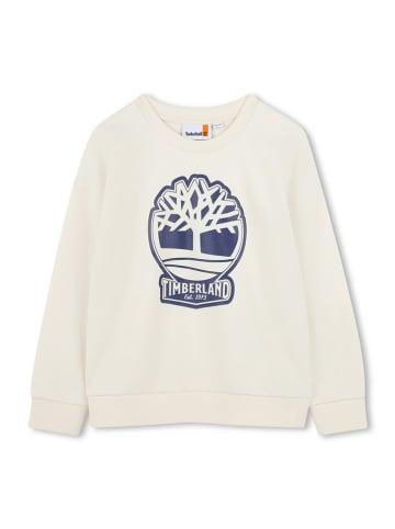 Timberland Bluza w kolorze kremowym