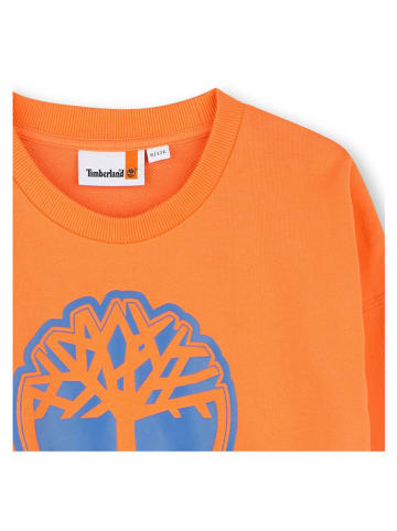 Timberland Sweatshirt oranje