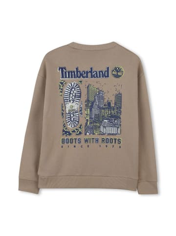 Timberland Sweatshirt in Beige