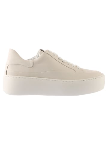 Högl Leder-Sneakers in Creme