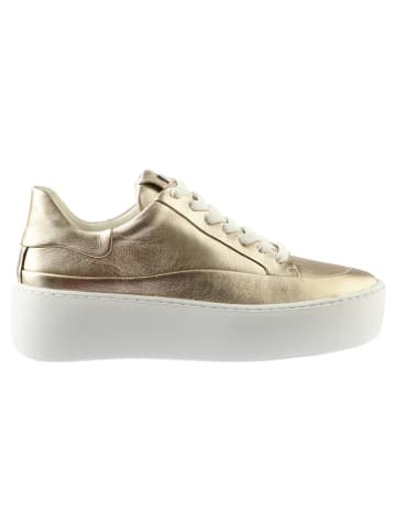 Högl Leder-Sneakers in Gold