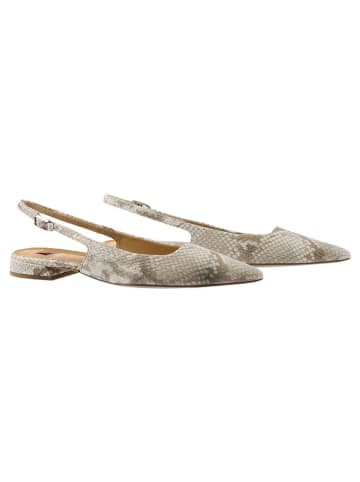 Högl Leder-Slingballerinas in Beige