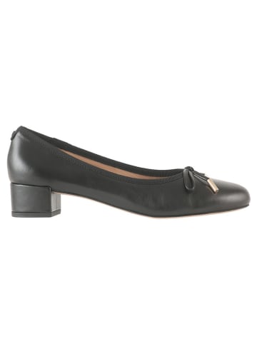 Högl Leder-Pumps in Schwarz