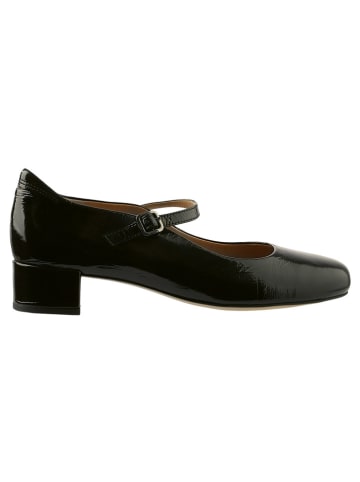 Högl Leder-Pumps in Schwarz