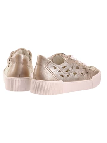 Högl Leder-Sneakers in Gold