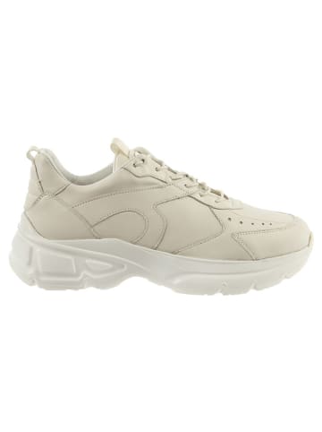 Högl Leder-Sneakers in Creme